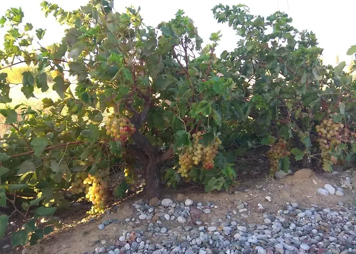 Serenity House- Beachfront With Pool فيلة *