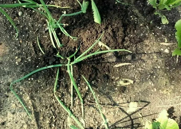 فيلة Serenity House- Beachfront With Pool غينادي