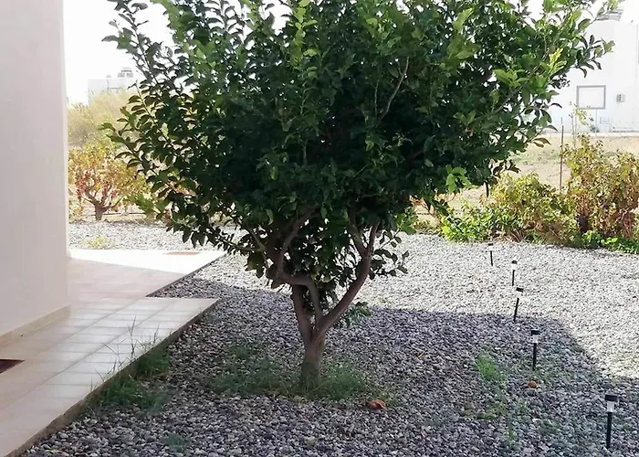 فيلة Serenity House- Beachfront With Pool