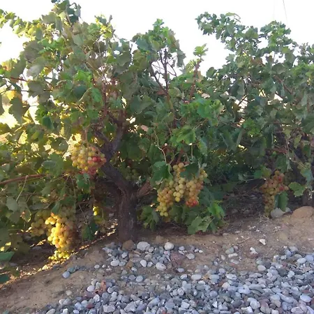 Serenity House- Beachfront With Pool Willa *