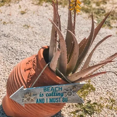 Serenity House- Beachfront With Pool Willa