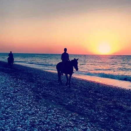 Serenity House- Beachfront With Pool *