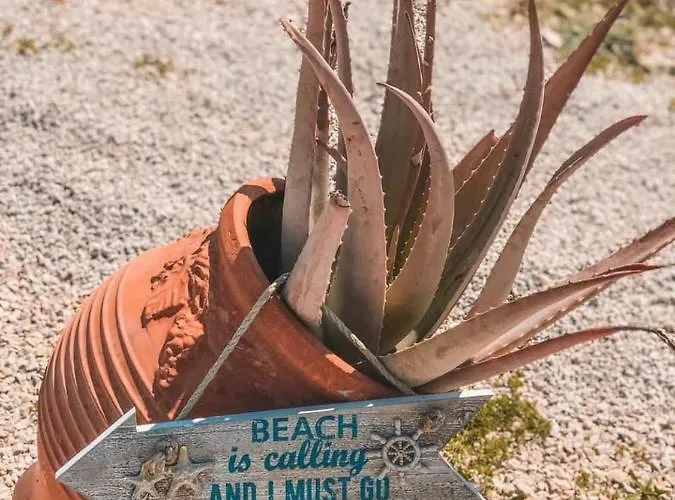 Serenity House- Beachfront With Pool Vilă