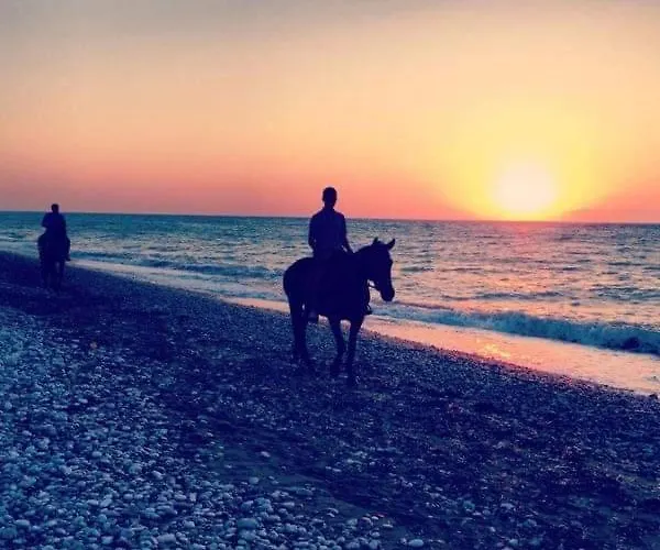 Serenity House- Beachfront With Pool *