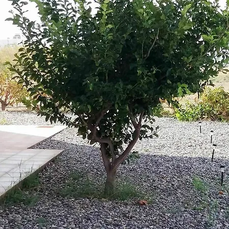 וילה Serenity House- Beachfront With Pool